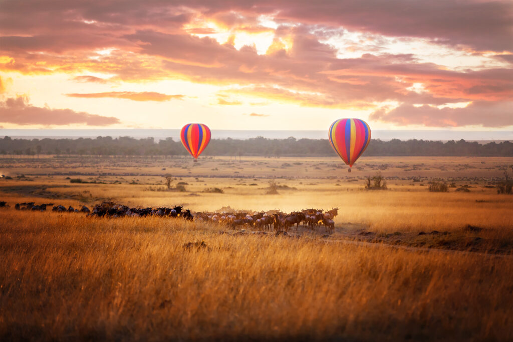 A luxury safari with African Oasis Safaris includes activities such as hot air balloon rides over the savannah at sunrise, walking safaris with a Maasai guide, and spa experiences.