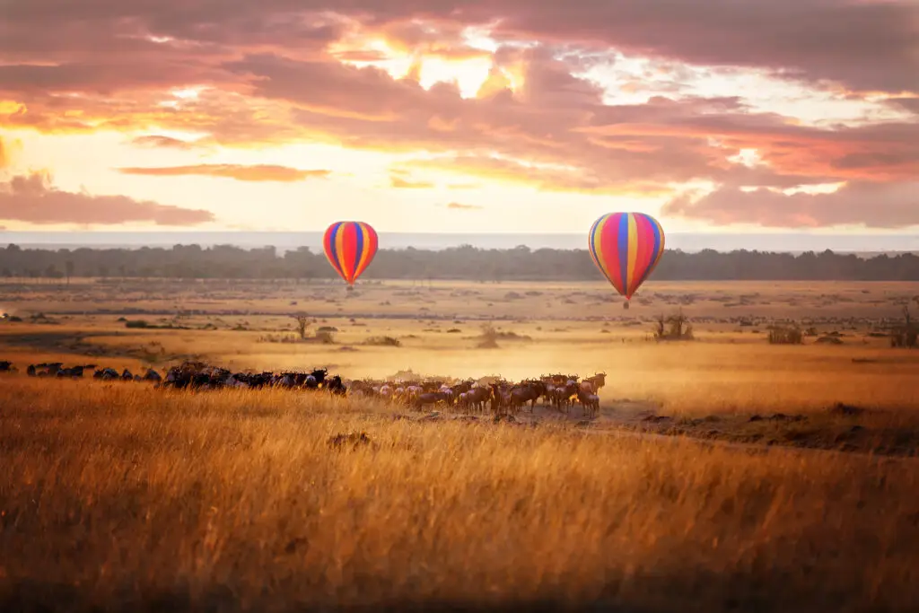 A luxury safari with African Oasis Safaris includes activities such as hot air balloon rides over the savannah at sunrise, walking safaris with a Maasai guide, and spa experiences.