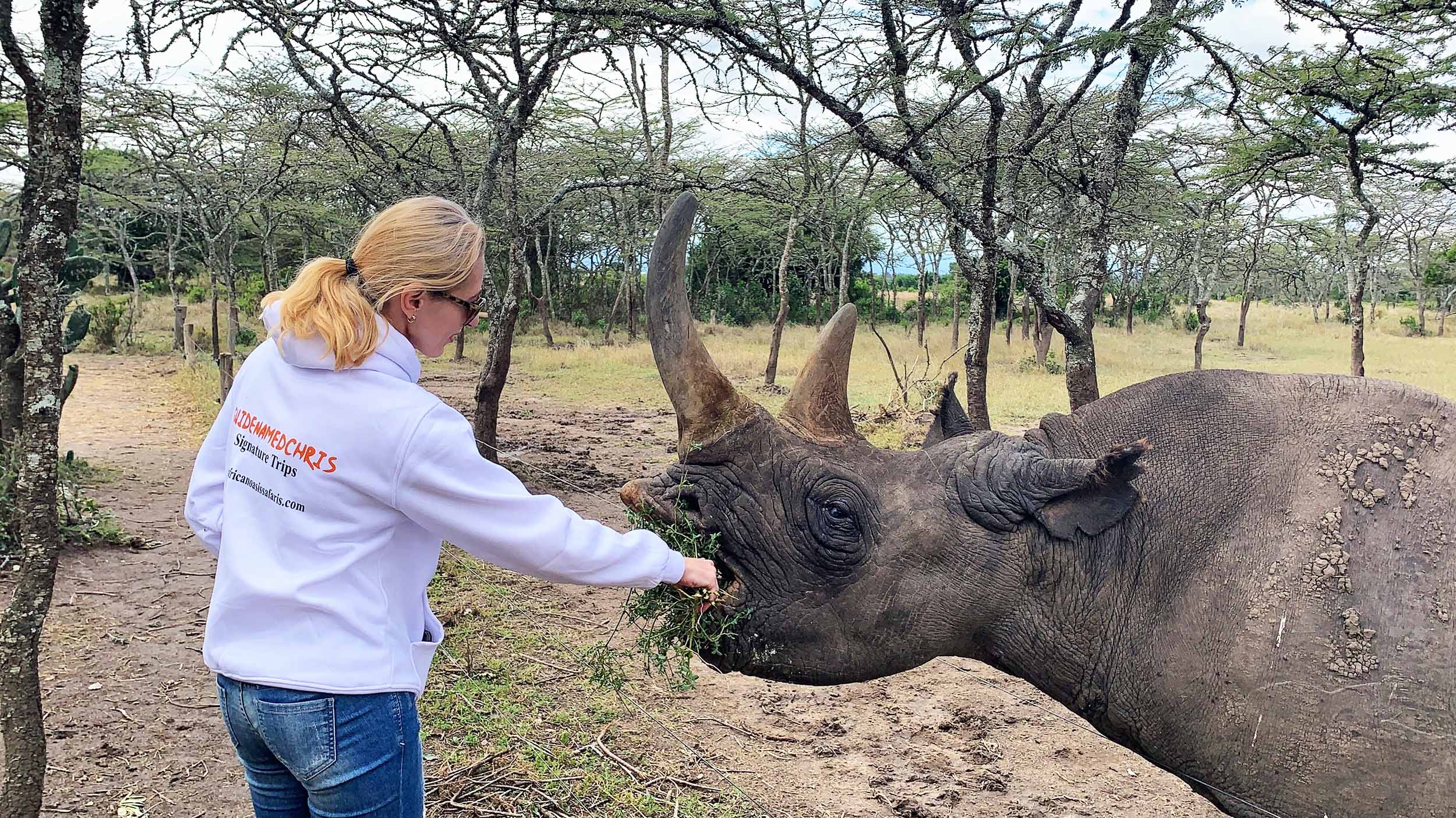 Feeing a Rhino while on safari.