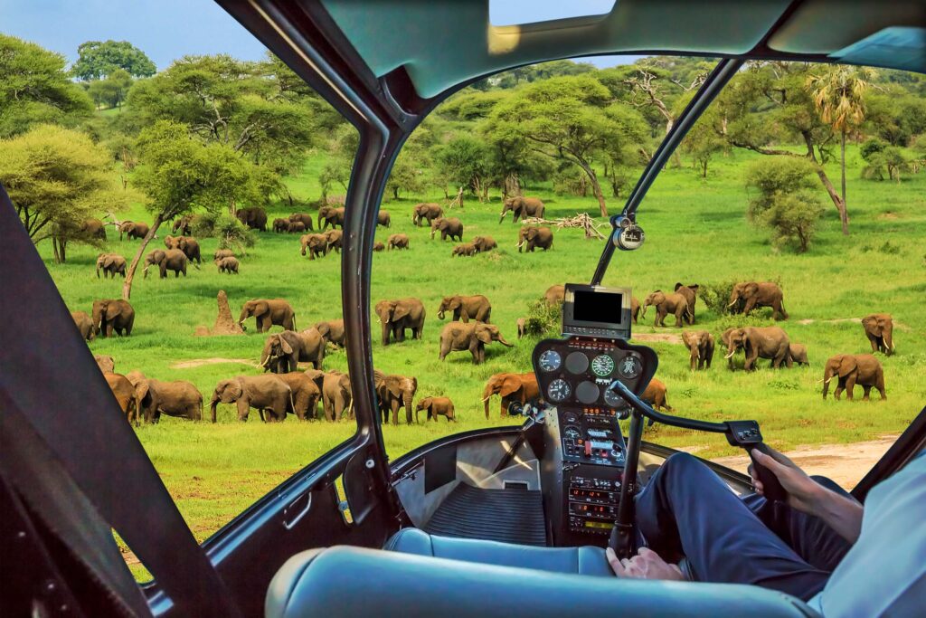 Let African Oasis Safari organize your private flight and enjoy the breathtaking beauty from above while being on your own schedule, maximizing privacy, comfort and exclusivity.